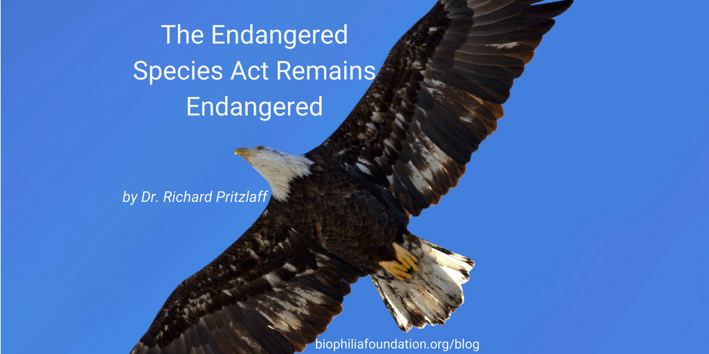 Endangered Species Act Remains Endangered - Biophilia Foundation